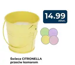 Mrówka Świeca CITRONELLA przeciw komarom oferta