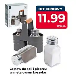 Mrówka Zestaw do soli i pieprzu w metalowym koszyku oferta