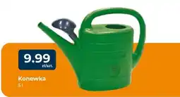 Mrówka Konewka oferta