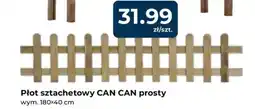Mrówka Płot sztachetowy CAN CAN prosty oferta