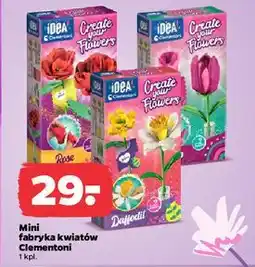 Netto Mini fabryka kwiatków Clementoni oferta