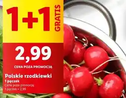 Lidl Rzodkiewka oferta