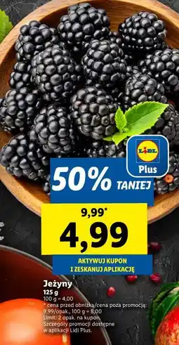 Lidl Jeżyny oferta