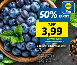 Lidl Borówka amerykańska oferta