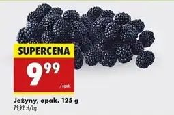 Biedronka Jeżyny oferta