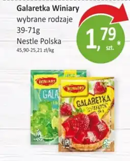 Passa Galaretka Winiary oferta
