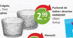 Passa Pucharek do lodów i deserów HARMONY oferta
