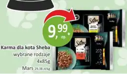 Passa Karma dla kota Sheba oferta