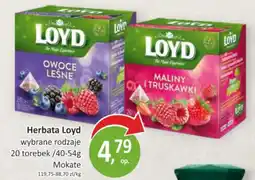 Passa Herbata Loyd oferta