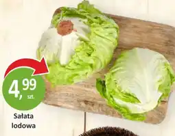 Passa Sałata lodowa oferta