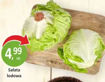 Passa Sałata lodowa oferta