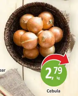 Passa Cebula oferta
