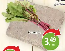 Passa Botwinka oferta