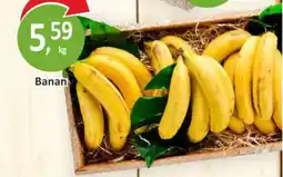 Passa Banan oferta