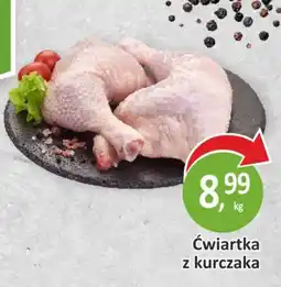 Passa Ćwiartka z kurczaka oferta