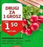 Auchan Rzodkiewka oferta