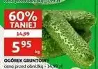 Auchan Ogórek gruntowy oferta