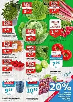 Auchan Pietruszka doniczka oferta