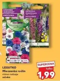 Kaufland Nasiona ostróżka jednorocza W. Legutko oferta