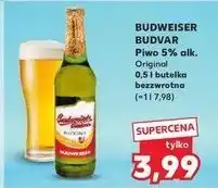 Kaufland Piwo Budweiser Budvar oferta