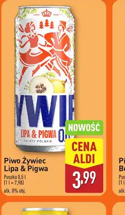 ALDI Piwo Zywiec Lipa & Pigwa oferta
