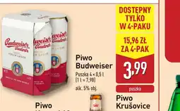 ALDI Piwo Budweiser oferta