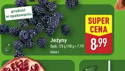 ALDI Jeżyny oferta