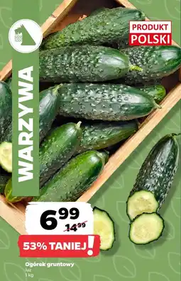 Netto Ogórek Polski oferta