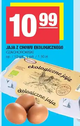 Spar Jaja z chowu ekologicznego Czachorowski oferta