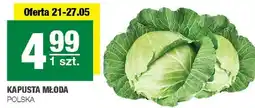 Spar Kapusta młoda 1 szt. Polska oferta