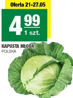 Spar Kapusta młoda 1 szt. SPAR oferta