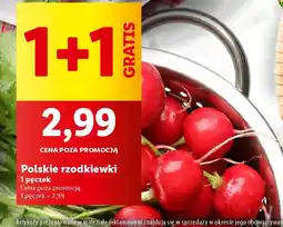 Lidl Polskie rzodkiewki oferta
