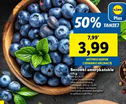 Lidl Borówki amerykańskie oferta