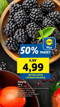 Lidl Jeżyny oferta