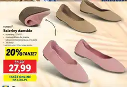 Lidl Baleriny damskie oferta