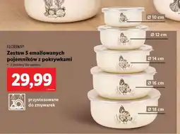 Lidl Zestaw 5 emaliowanych pojemników z pokrywkami oferta