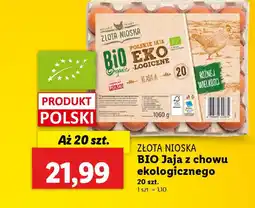Lidl Złota Nioska BIO Jaja z chowu ekologicznego oferta