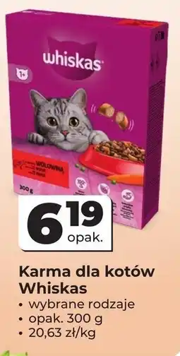 Odido Karma dla kotów Whiskas oferta