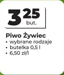 Odido Piwo Żywiec oferta