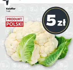 Netto Kalafior polska oferta