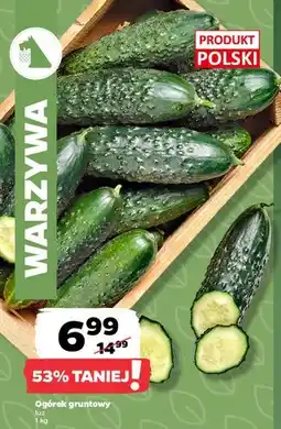 Netto Ogórek gruntowy oferta
