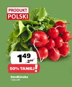 Netto Rzodkiewka oferta