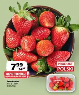 Netto Truskawki polska oferta