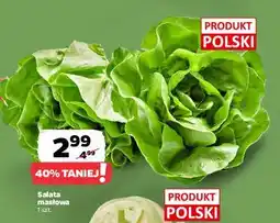 Netto Sałata masłowa oferta