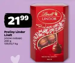 Netto Praliny milk Lindt Lindor oferta
