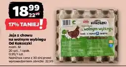 Netto Jaja m Od Kokoszki oferta