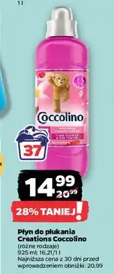 Netto Płyn do płukania tiare flower & red fruits Coccolino Creations oferta