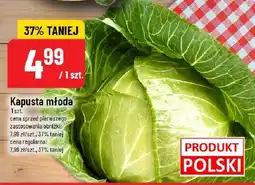 Polomarket Kapusta młoda 1 szt. POLOmarket oferta