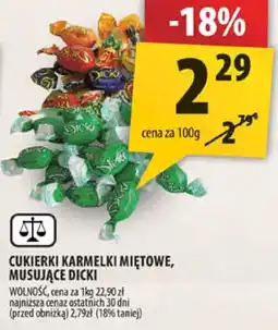 Arhelan Cukierki karmelki miętowe, musujące Dicki 100g Wawel oferta