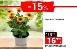 Byliny Indeks